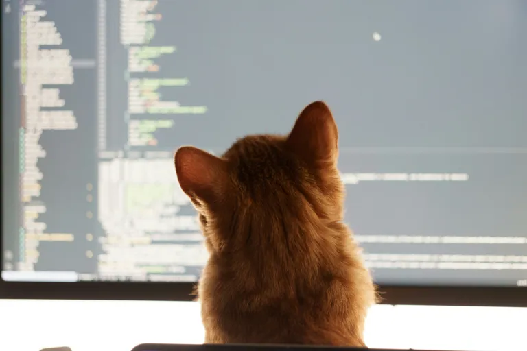 Code Reviews, Quality, and All the Ways We Screw It Up